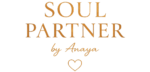Soul Partner